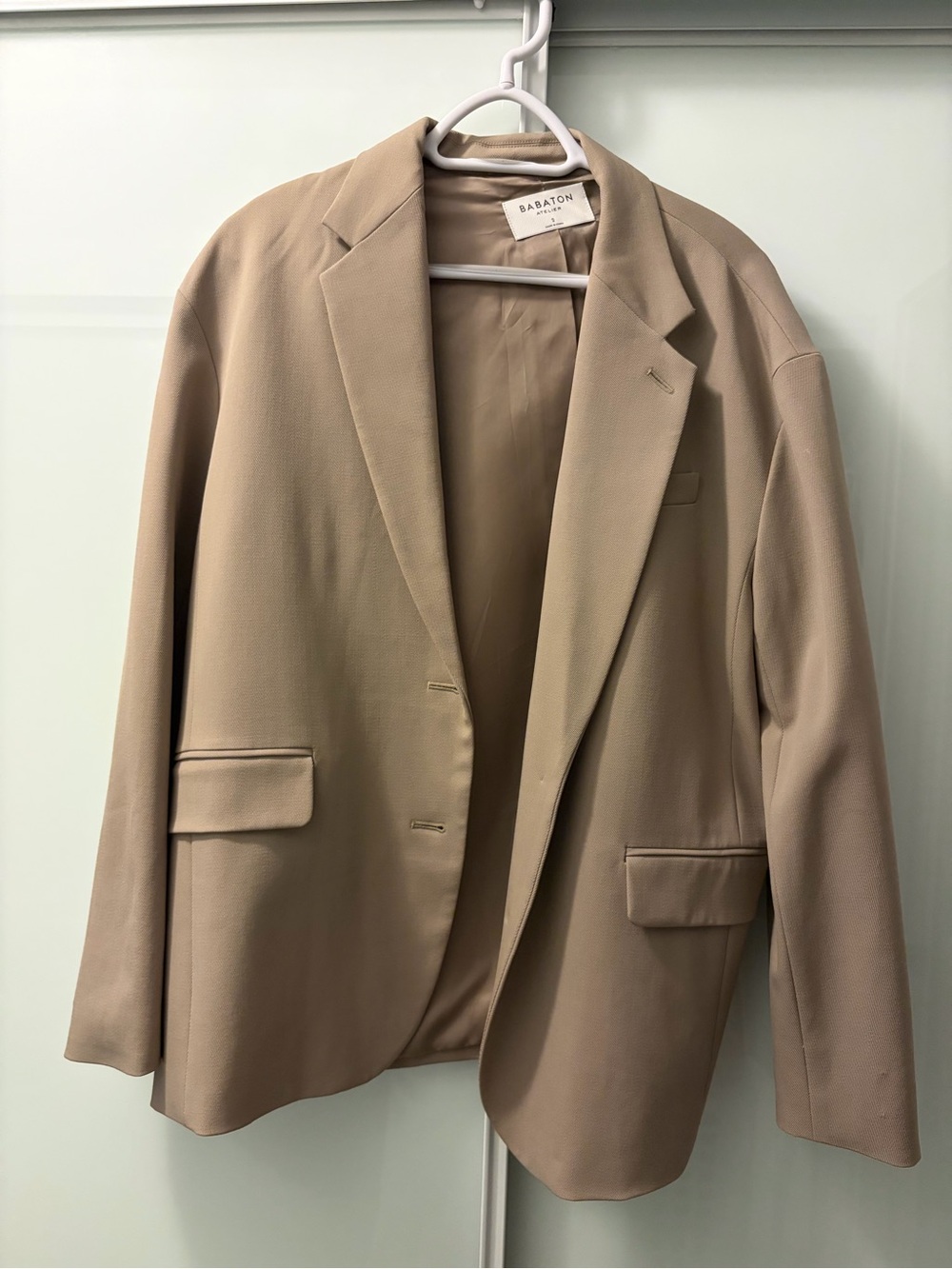 Babaton Taupe Tailored Blazer